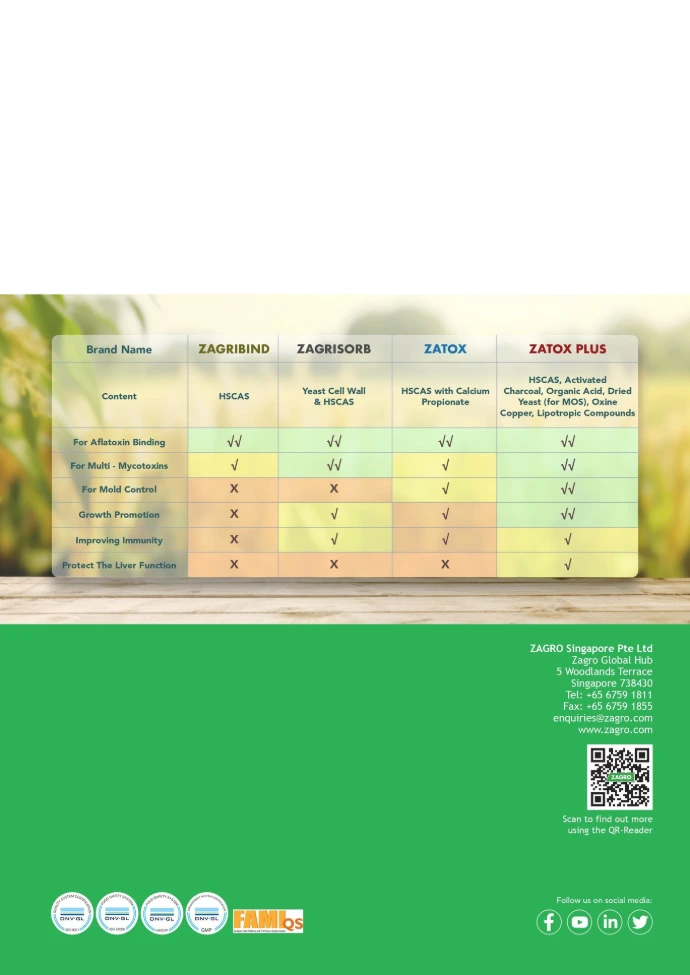 Toxin binder for cattle feed mycotoxin control